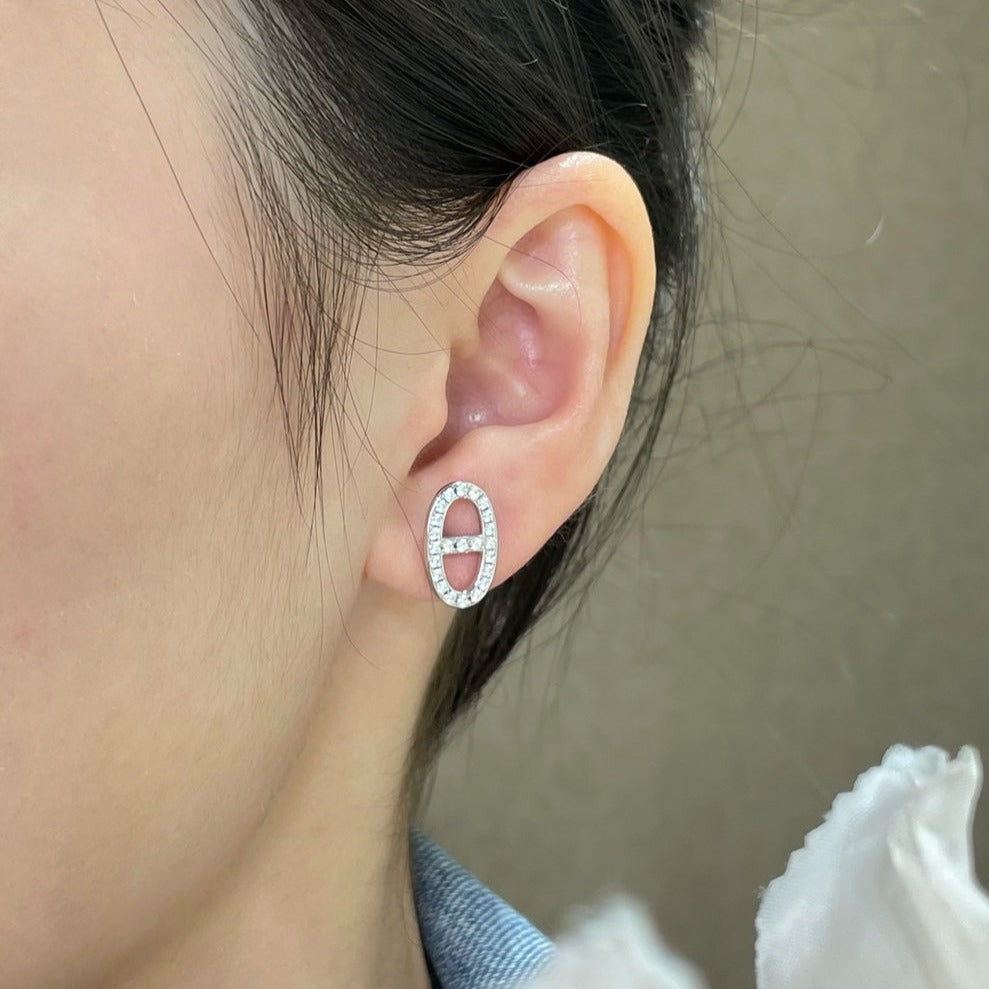 [Everoly JW]HM VOLLER DIAMANT SCHWEINENASEN-OHRSTECKER